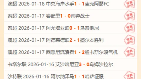 哲凯赖什力挽狂澜，阿森纳0-1埃弗顿胜出关键功臣！